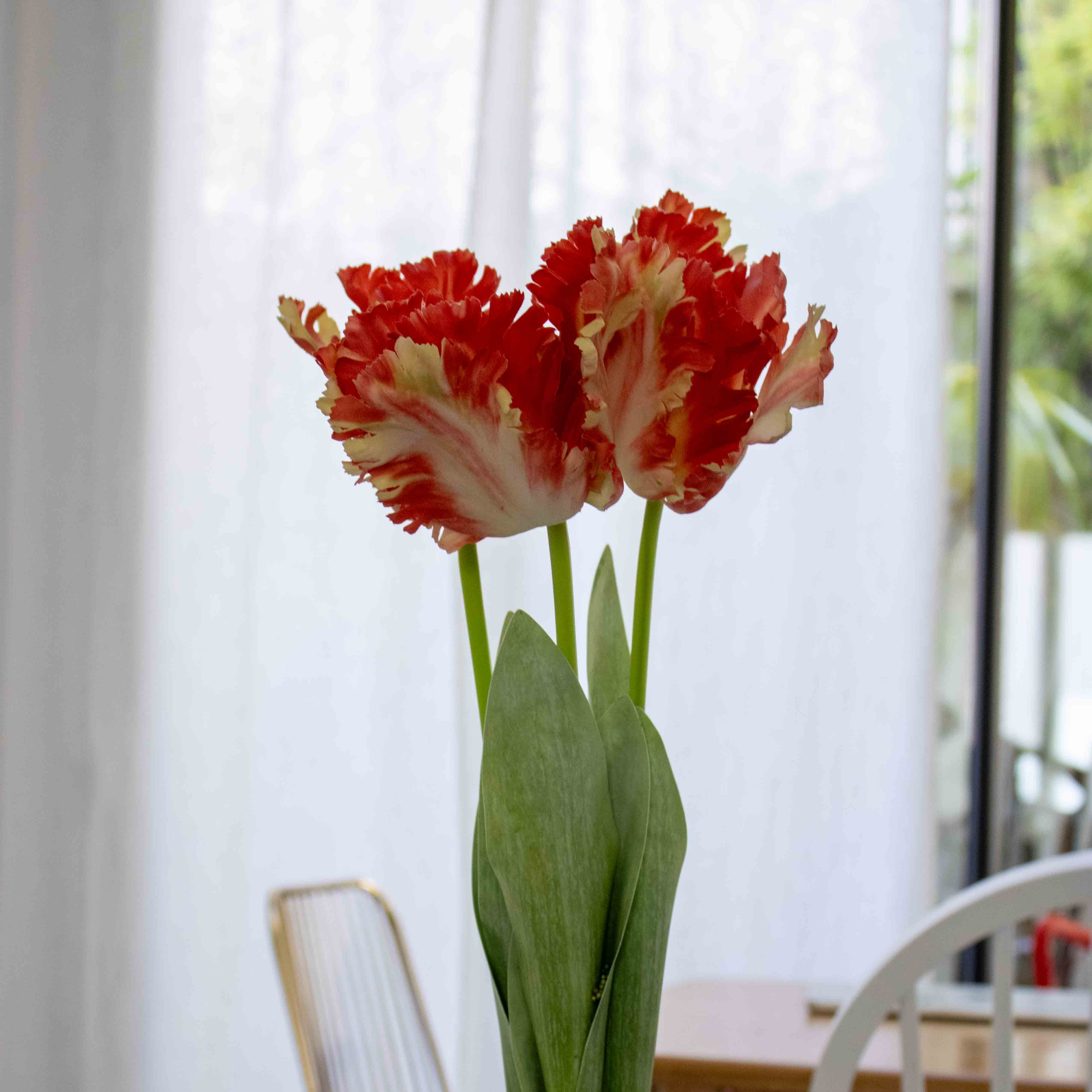 Flowrette Tulipe perroquet orange fleur artificielle x1 Real Touch