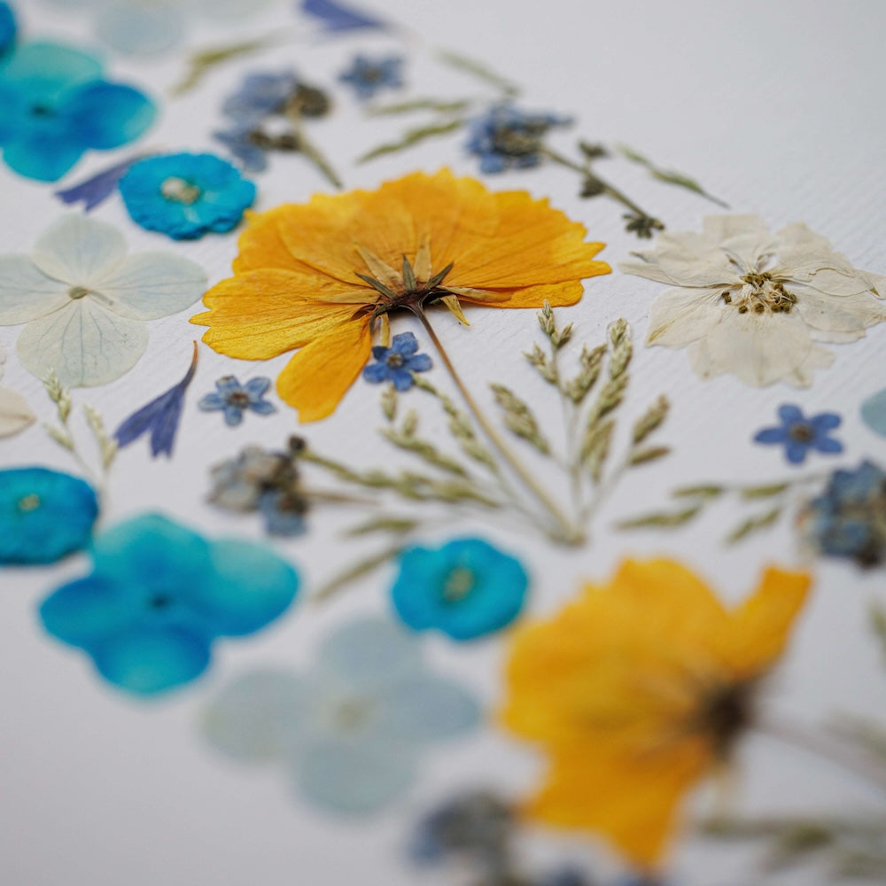 Flowrette Rêve en fleur herbier fleurs séchées A4