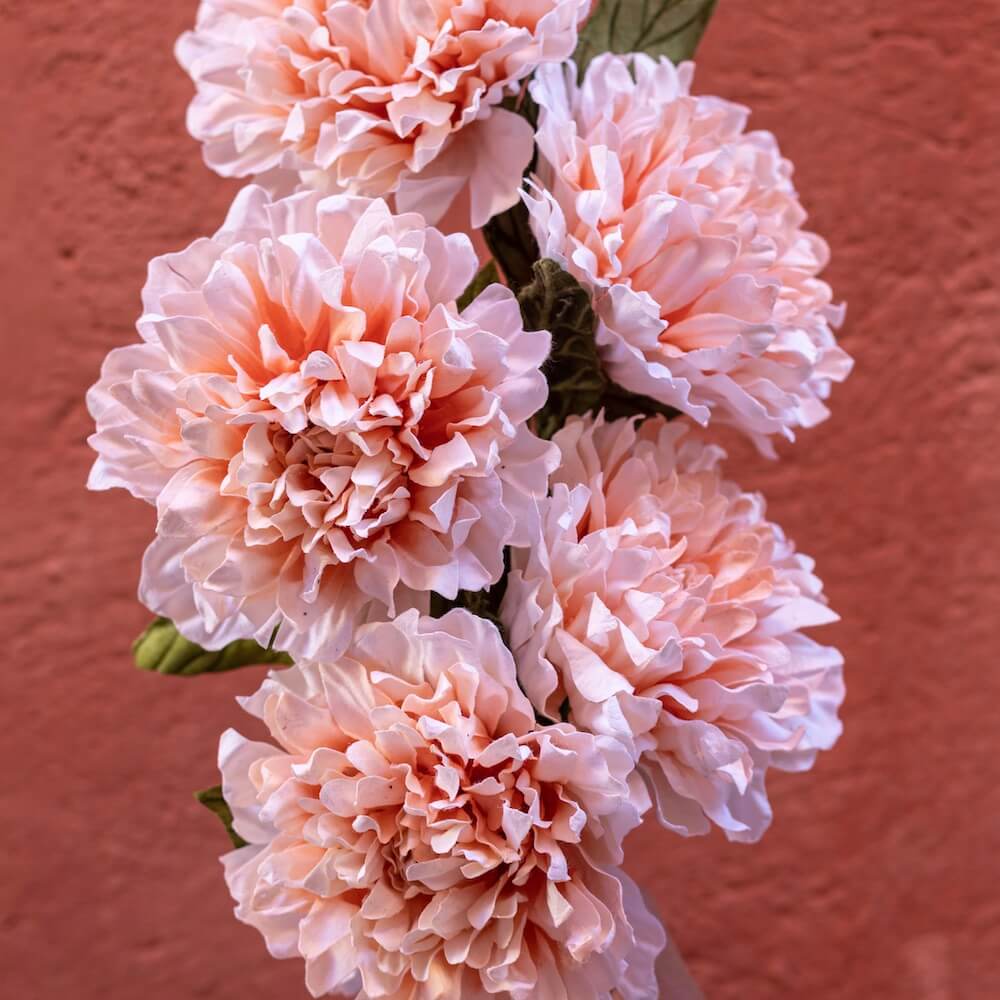 Flowrette Dahlia fleur papier corail blanc x1 salon