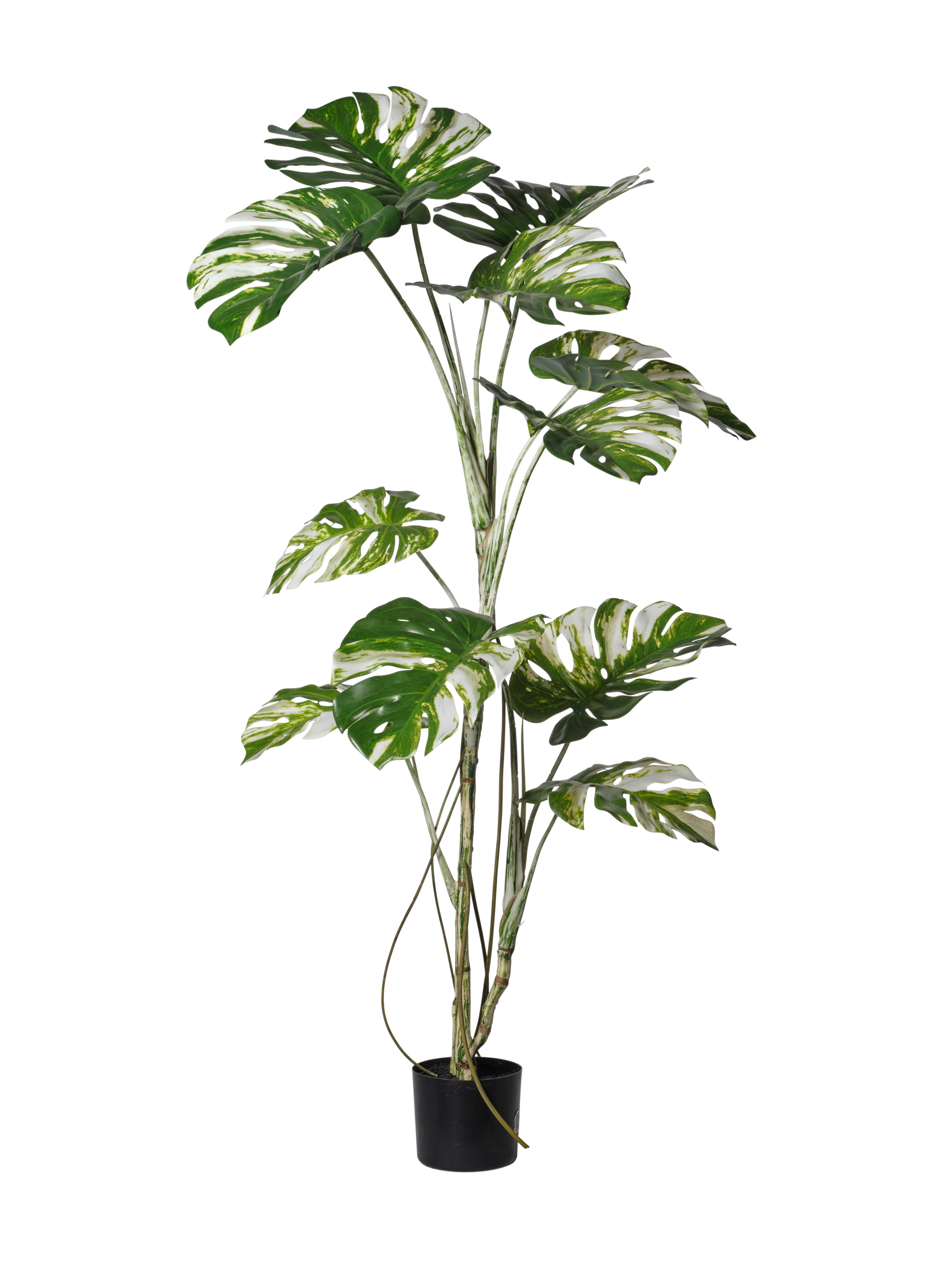 Feuillazur Rungis Monstera plante artificielle vert 180cm réaliste