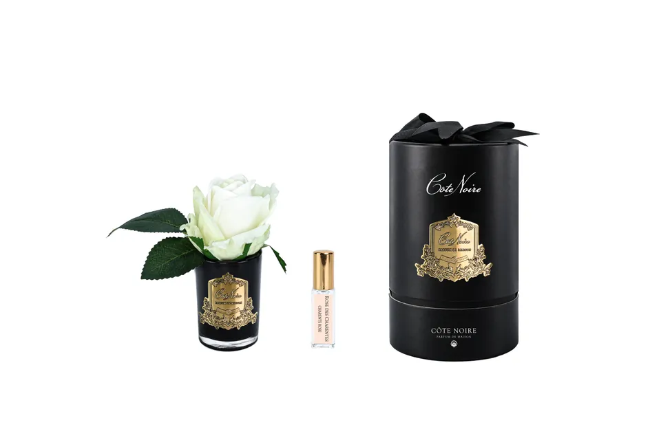 Côte Noire RMRB49 fleur bouton rose vase vert noir