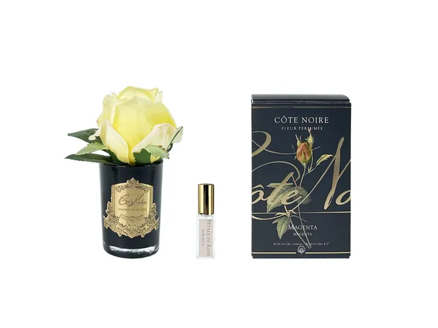Côte Noire Perfumed Flowers GMRB48 rose magenta vase noir