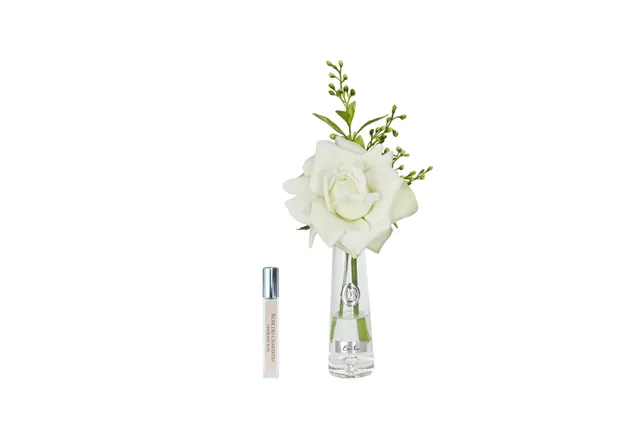Côte Noire Summer Roses SRS09 rose parfumée vert argent vase