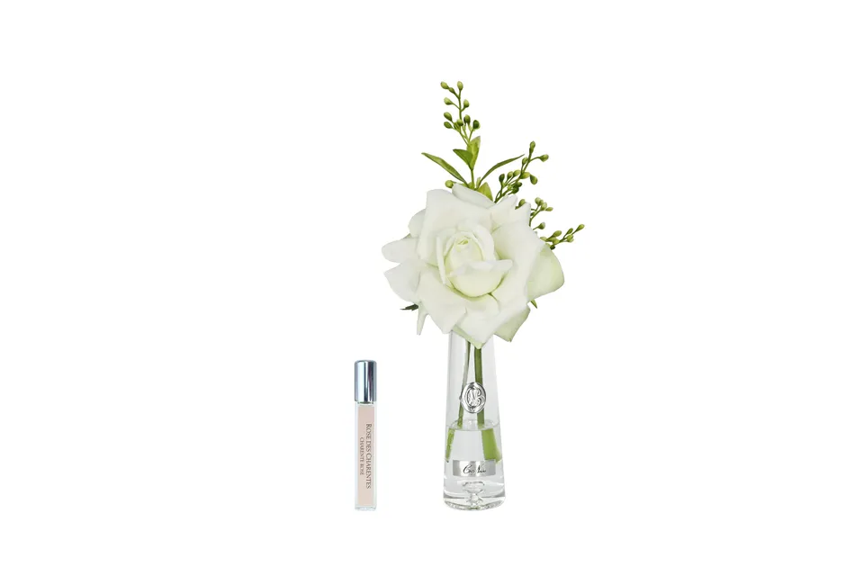 Côte Noire Summer Roses SRS09 rose parfumée vert argent vase