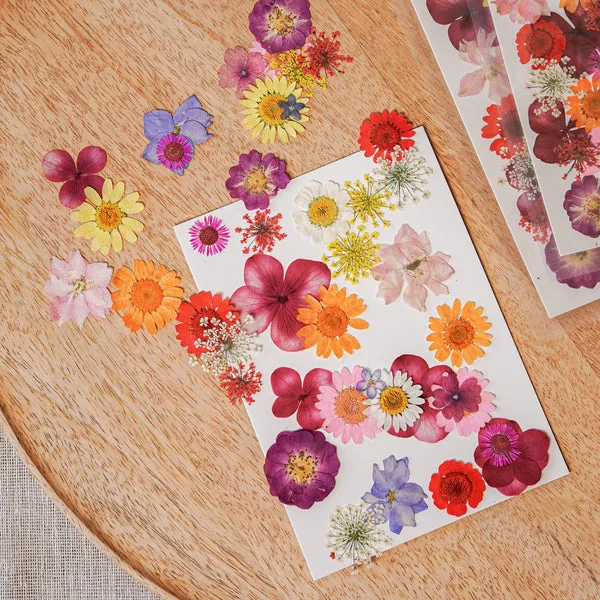 Flowrette pochette fleurs pressées multicolores DIY