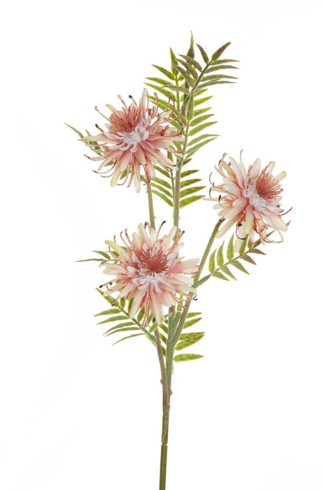 Feuillazur Rungis Grevillea fleur artificielle orange 66 cm