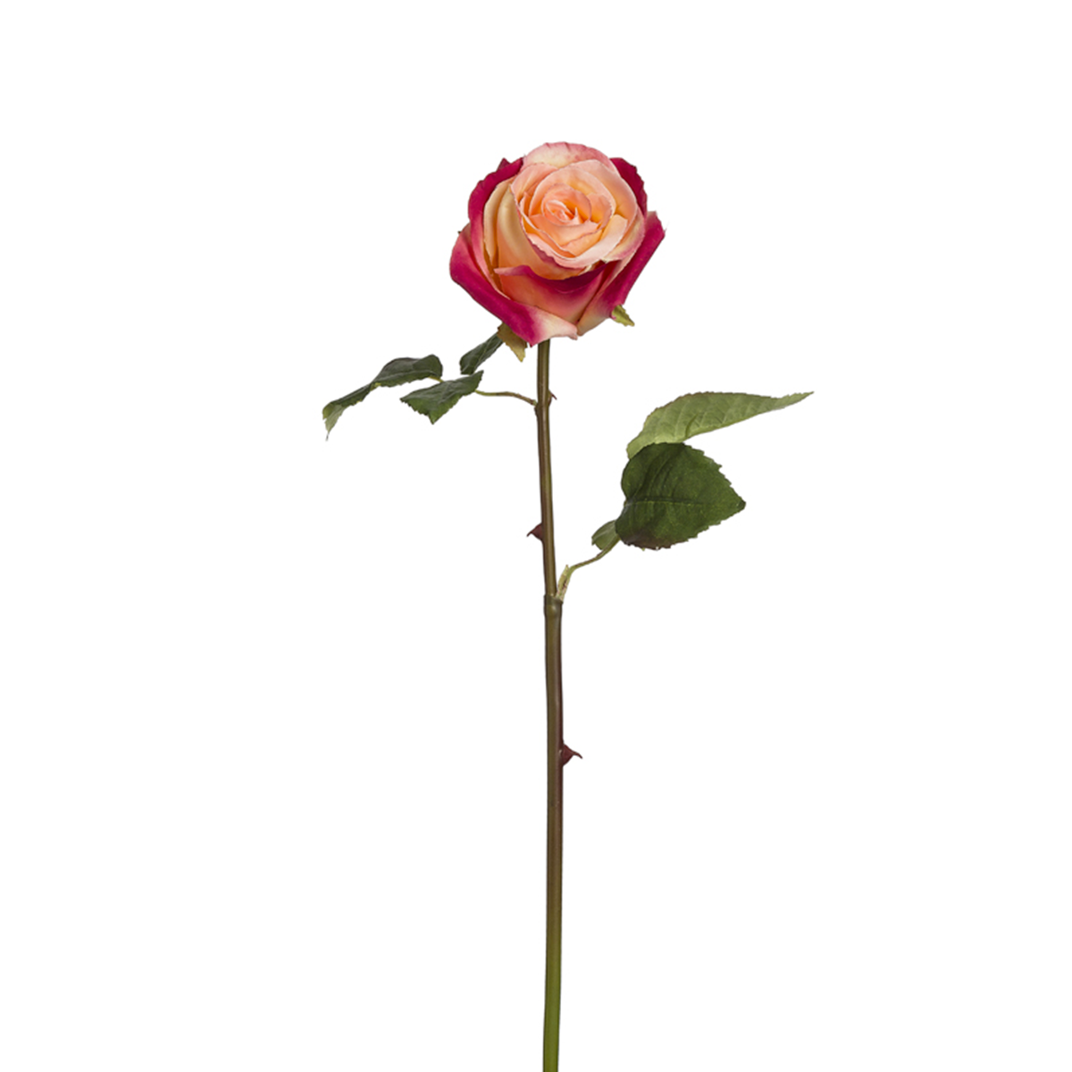 Sia Diane tige rose artificielle 53 cm crème