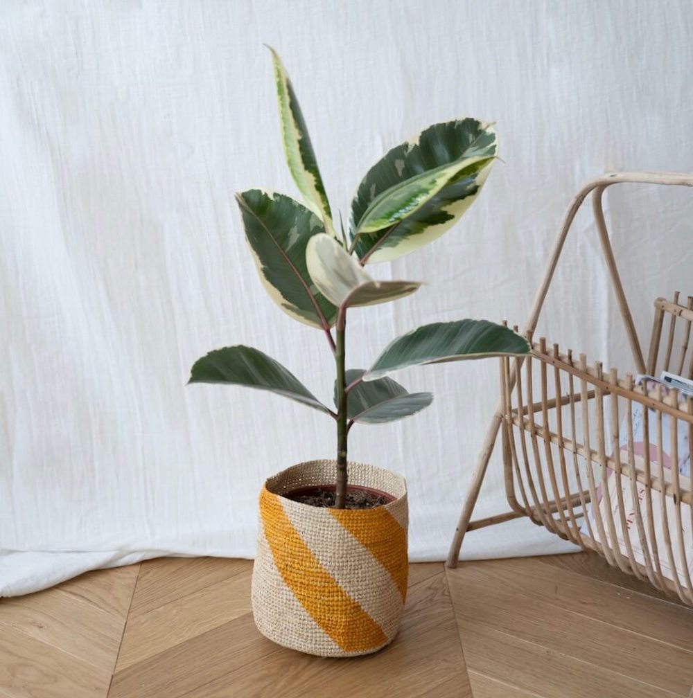 Flowrette Sarika panier raphia végétal 19cm 21cm