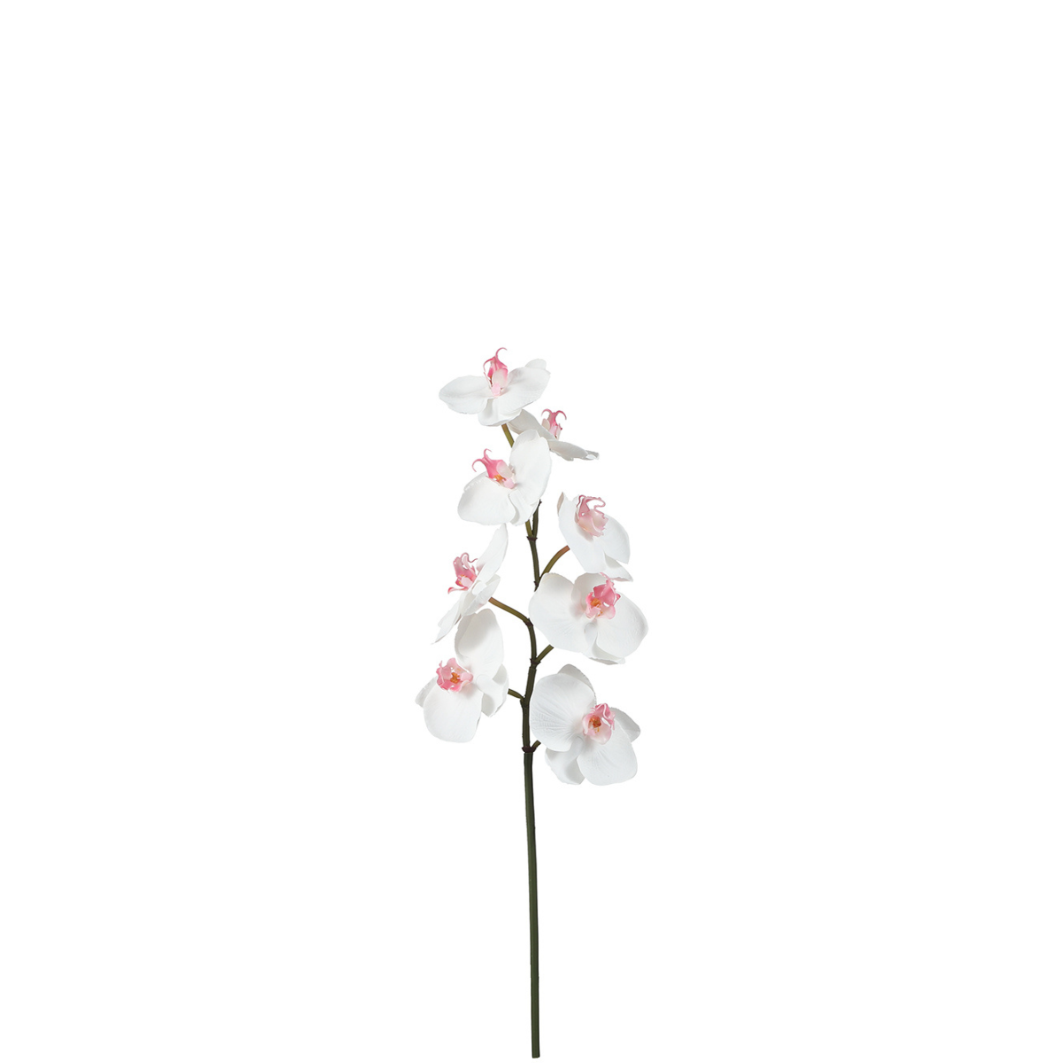 Sia Home Orchidée Phalaenopsis tige artificielle 50 cm blanc
