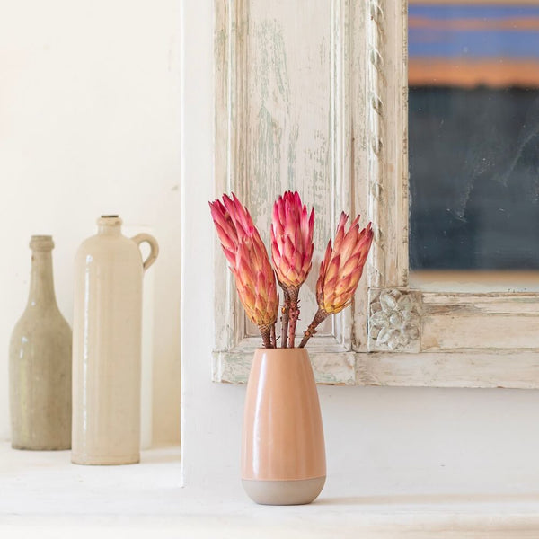Flowrette botte 5 proteas stabilisés exotique
