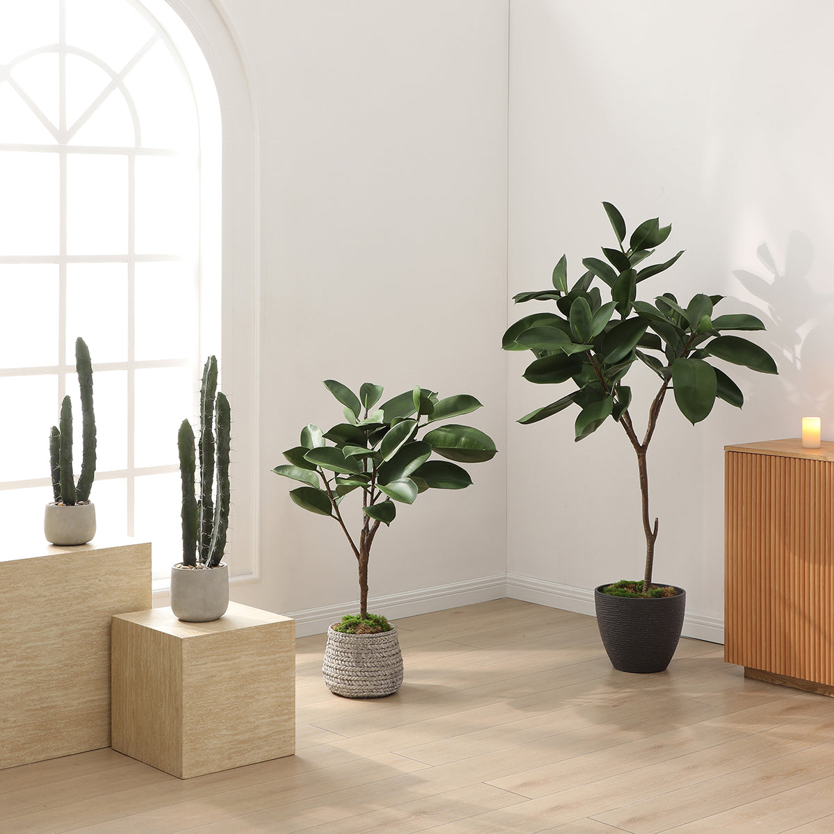 Sia Home Plantes en Pot Cactus 80 cm plante verte pot gris