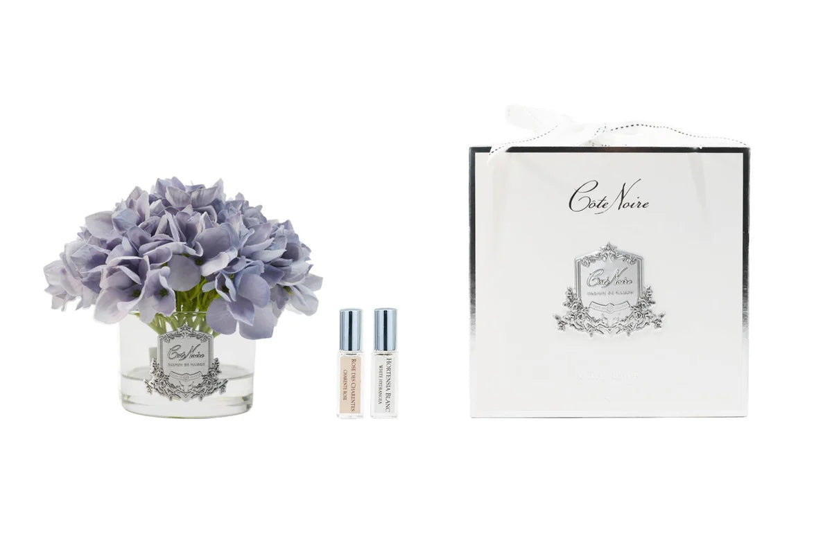 Côte Noire hortensia bleu vase five rose GMH05