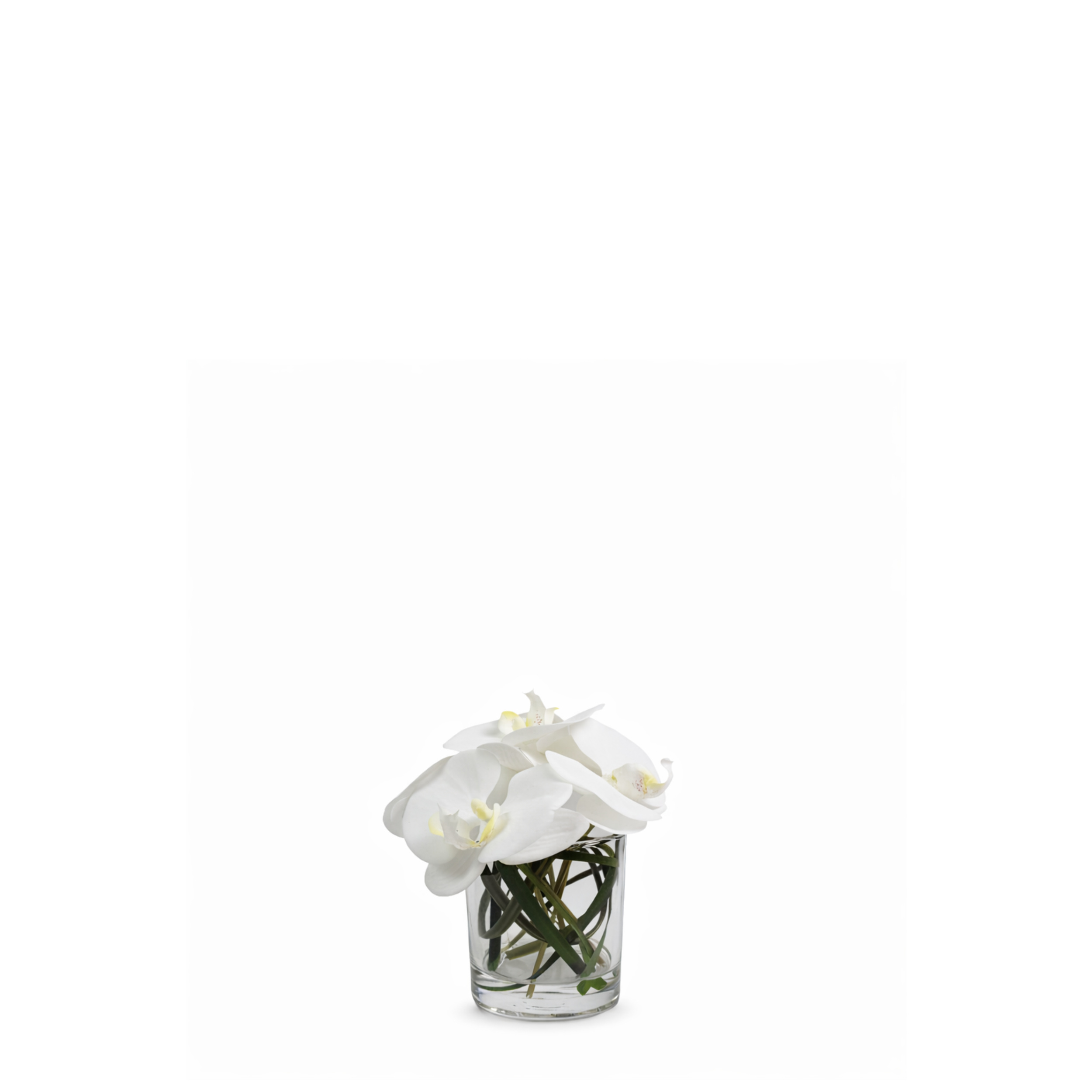 Sia Home Elie composition orchidée blanche vase 17 cm