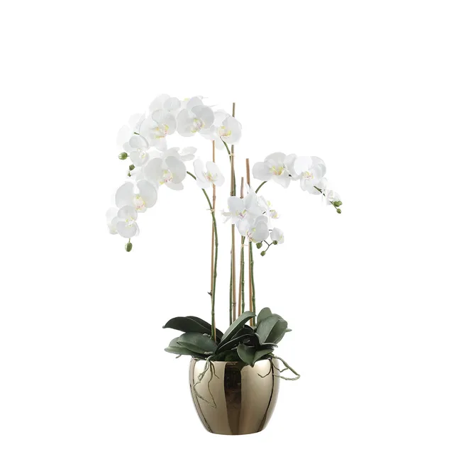 Sia Home Composition orchidée artificielle vase doré 79cm
