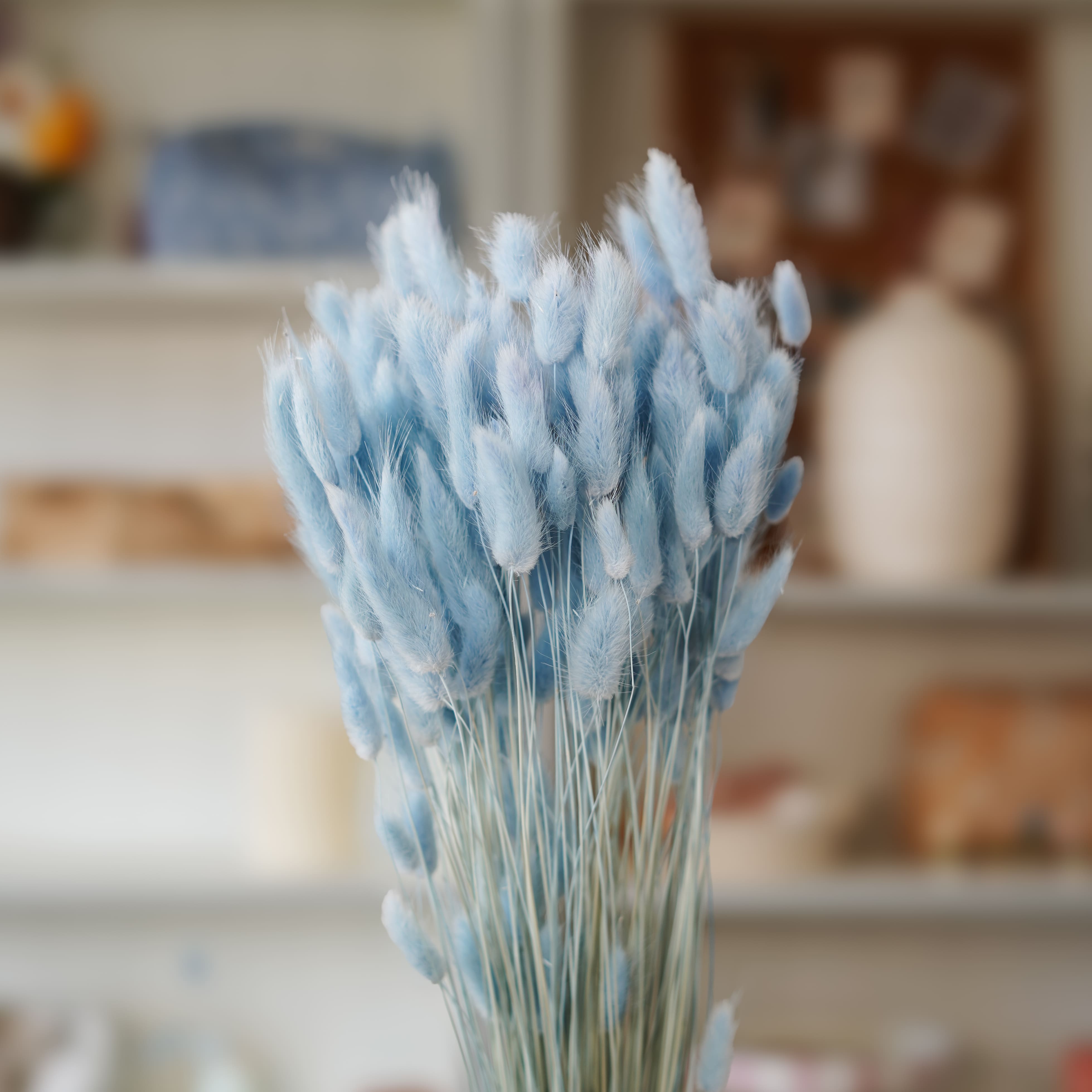 Flowrette Lagurus bleu pastel botte fleurs séchées x1