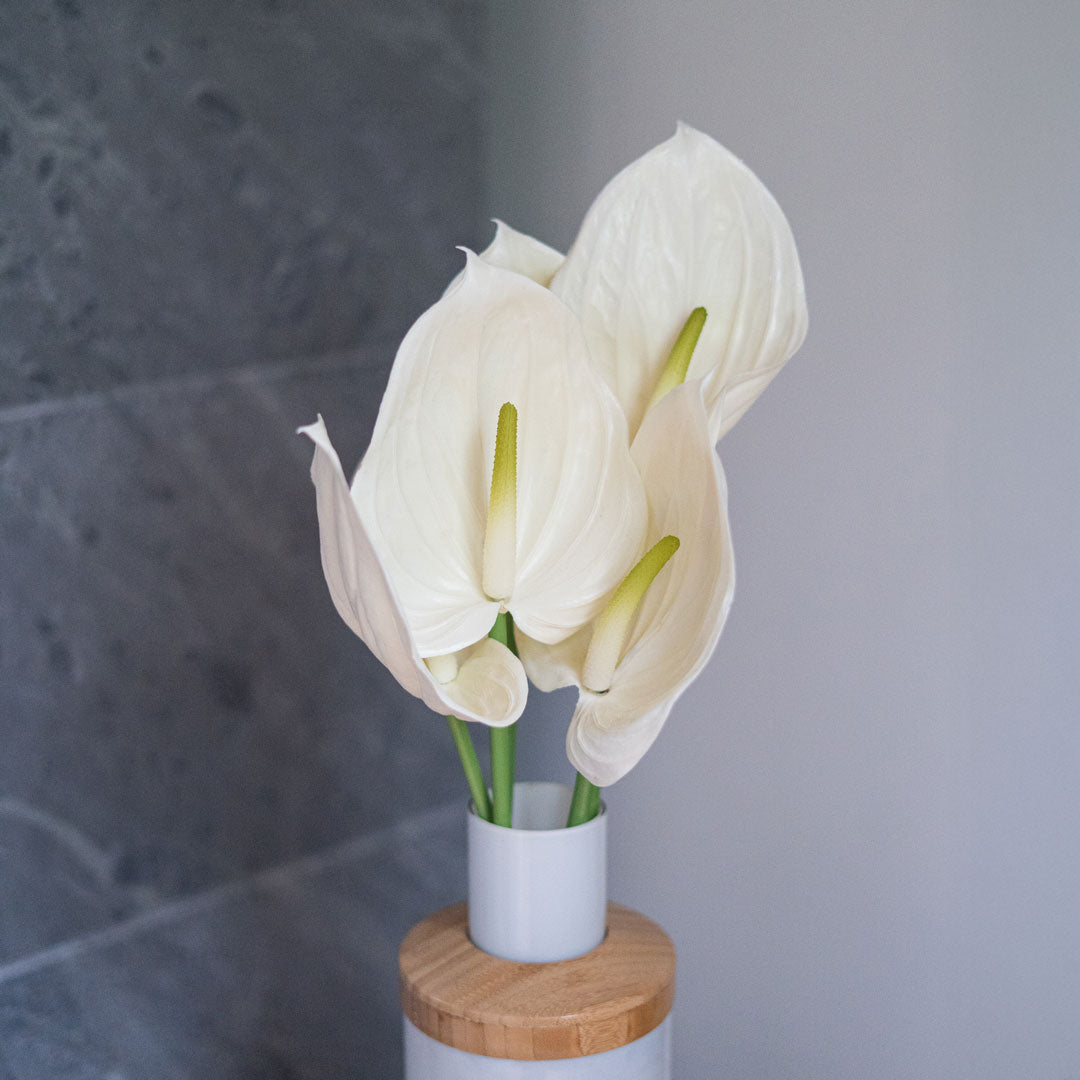Flowrette Anthurium crème fleur artificielle tige x1 Real Touch