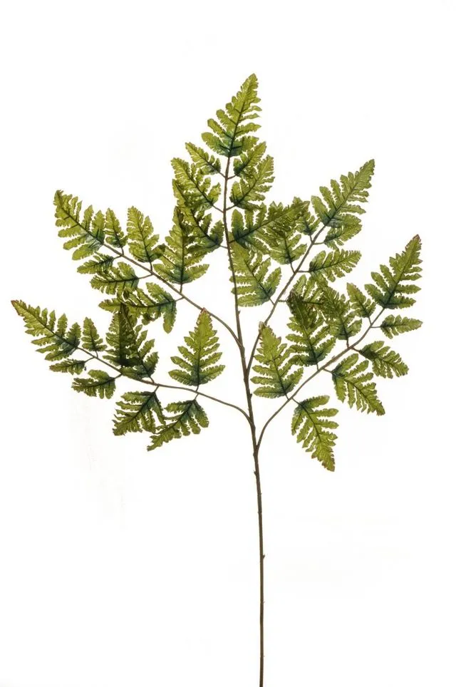 Feuillazur Rungis Branche de fougère feuillage artificiel vert 70cm