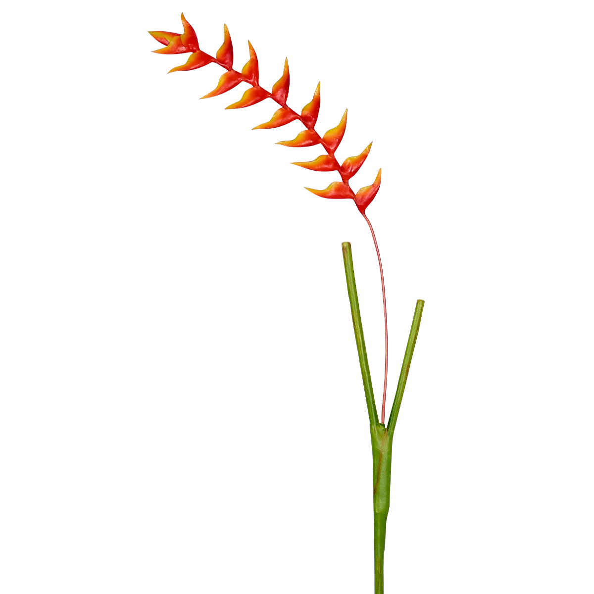 Sia Home Heliconia Rostrata tige 94 cm orange