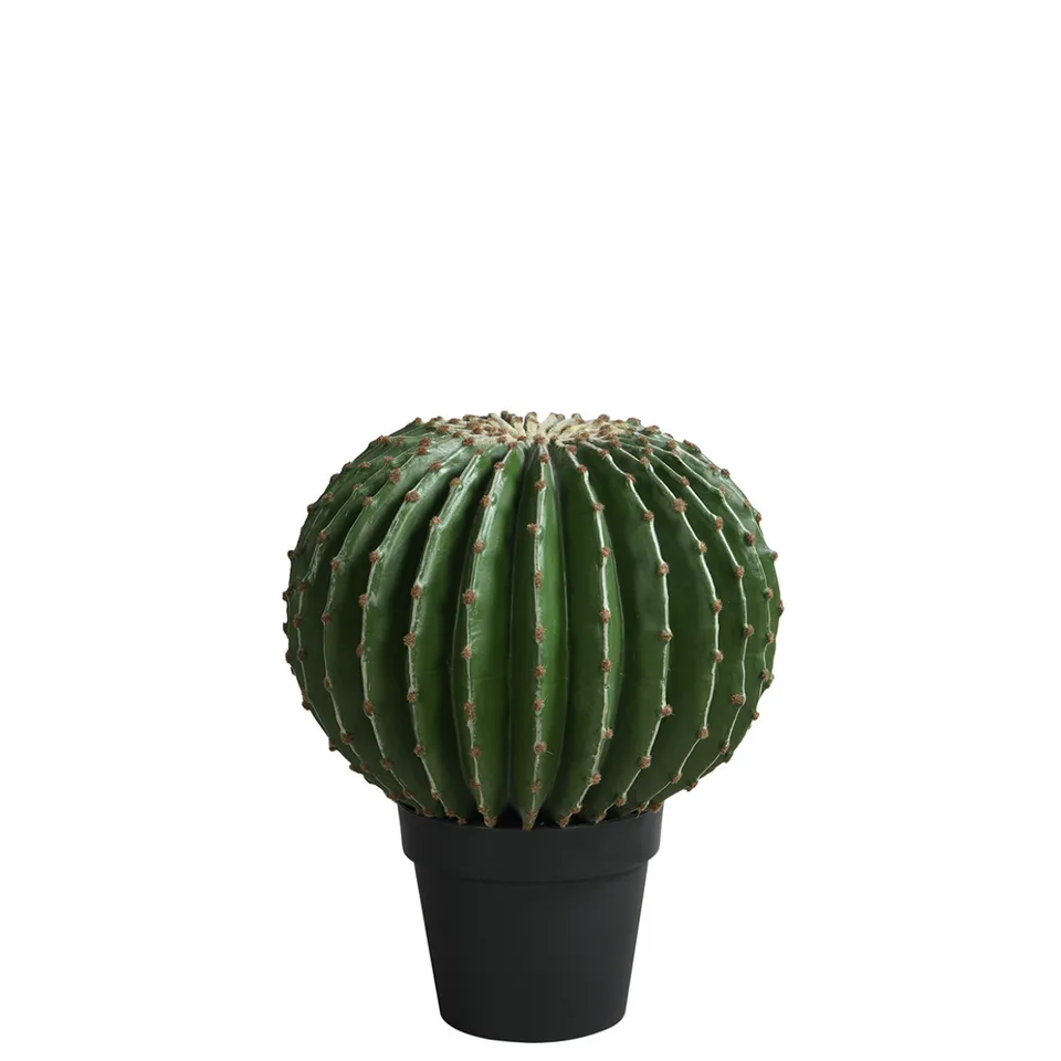 Sia Home cactus rond artificiel en pot vert 43 cm