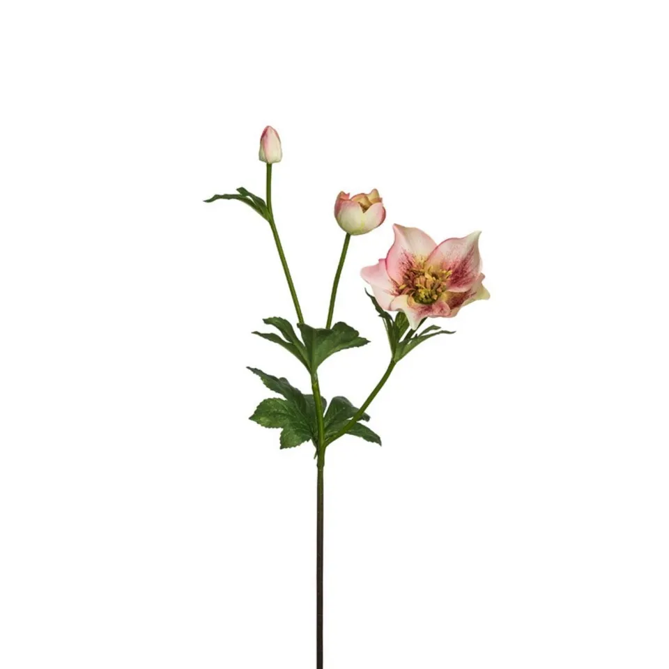 Sia Home Helleborus Niger tige fleur rose clair 45 cm