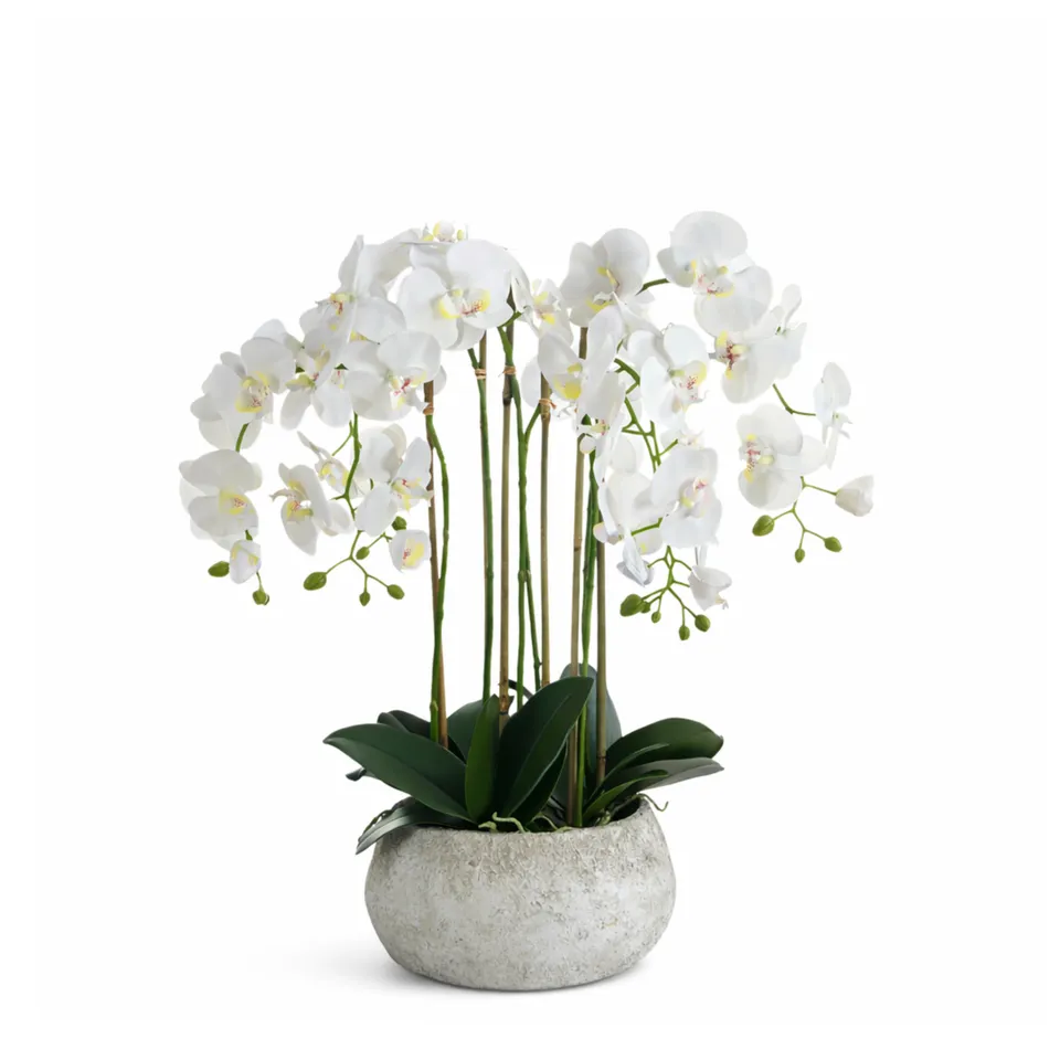 Sia Home Séréna orchidée artificielle blanc 70 cm pot