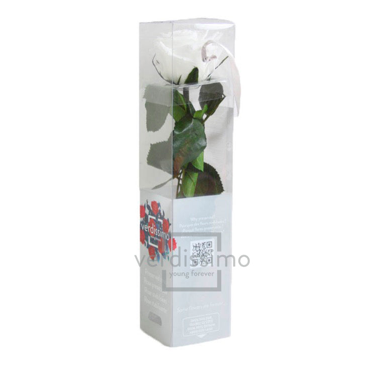 Feuillazur Rungis Mini Rose Stabilisée Rouge 26cm
