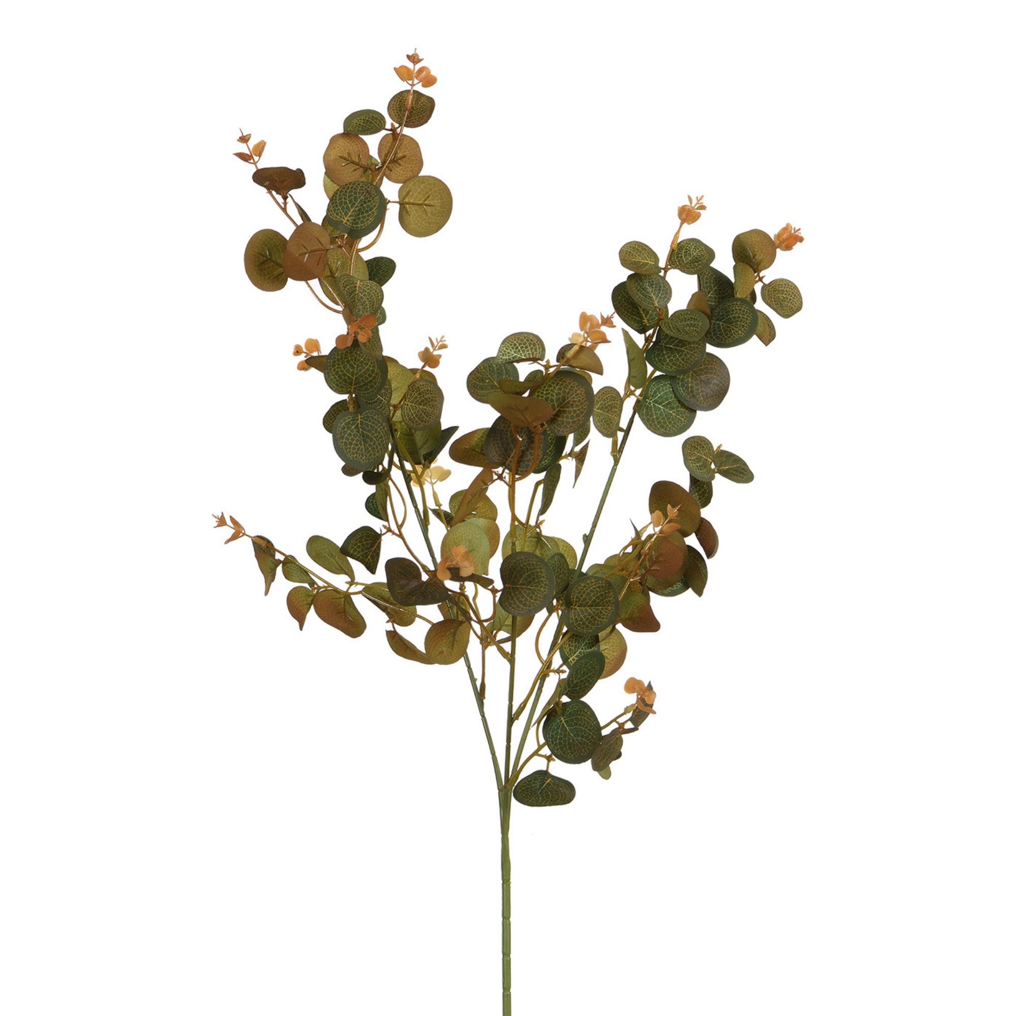 Sia Home Feuillages Eucalyptus 80cm feuillage artificiel vert