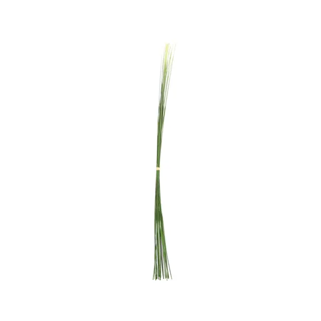 Sia Home Touffe d'Herbes feuillage 58 cm vert