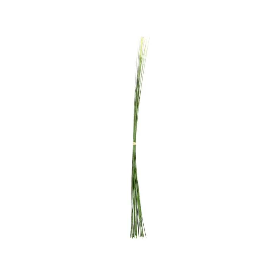 Sia Home Touffe d'Herbes feuillage 58 cm vert