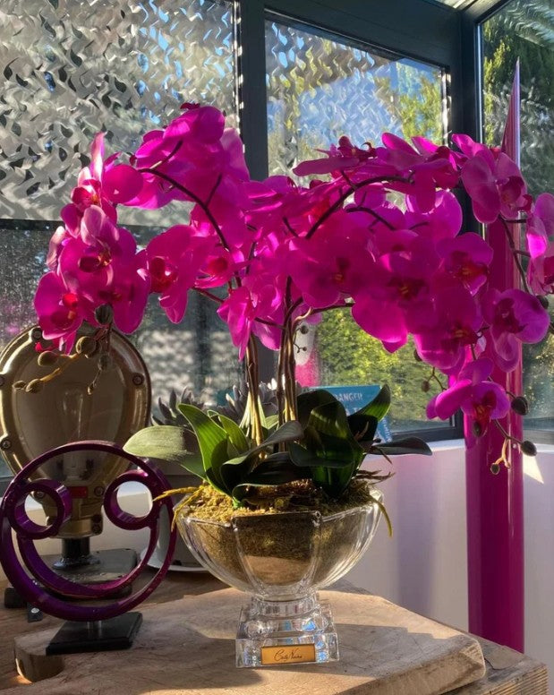 Côte Noire Centrepiece Bouquets CPO09 orchidées fuchsia