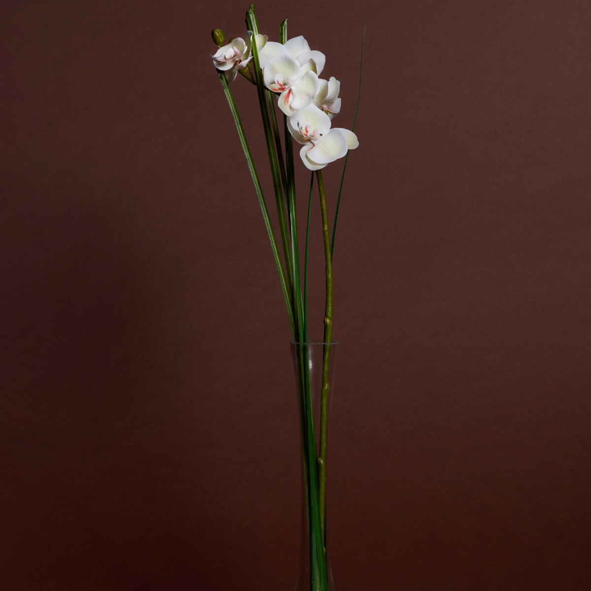 Sia Home Bouquets Artificiels Orchidée illusion eau crème 60 cm