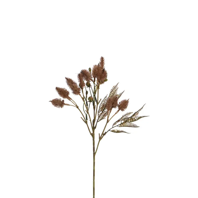 Sia Home Tiges fleurs Chardon 50 cm marron