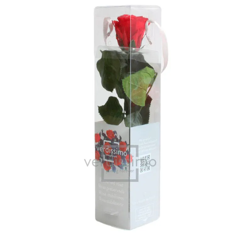 Feuillazur Rungis Mini Rose Stabilisée Rouge 26cm
