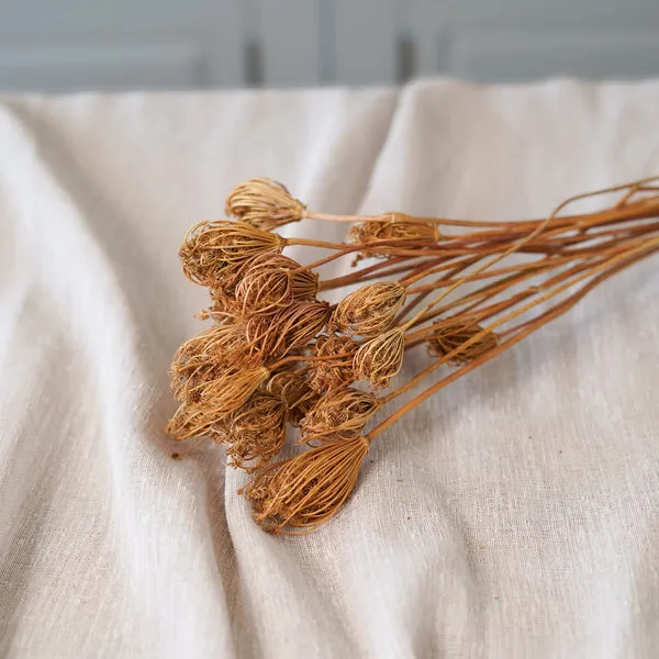 Flowrette fenouil naturel botte fleurs séchées beige