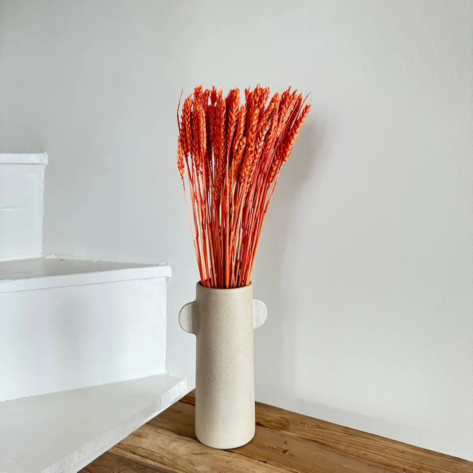 Flowrette Blé fleurs séchées orange foncé x1