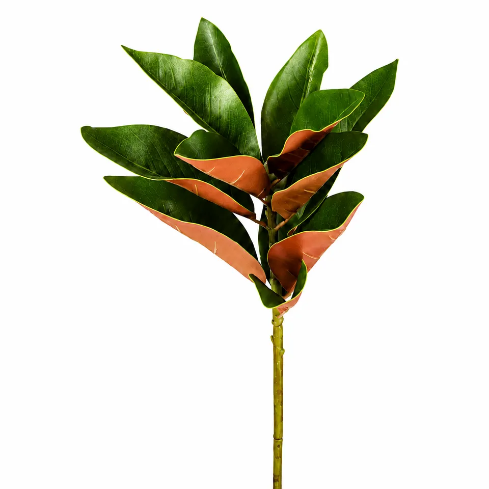 Sia Home Magnolia tige feuillage artificiel vert 76 cm