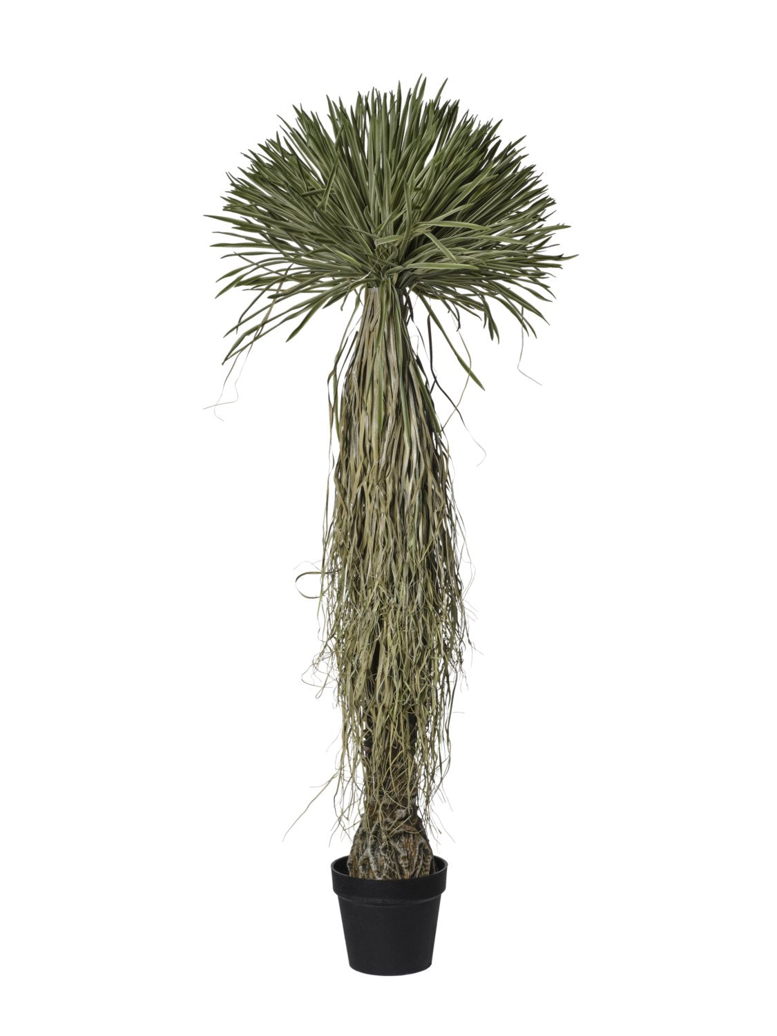 Feuillazur Rungis Arbre scarecrow artificiel plante décorative