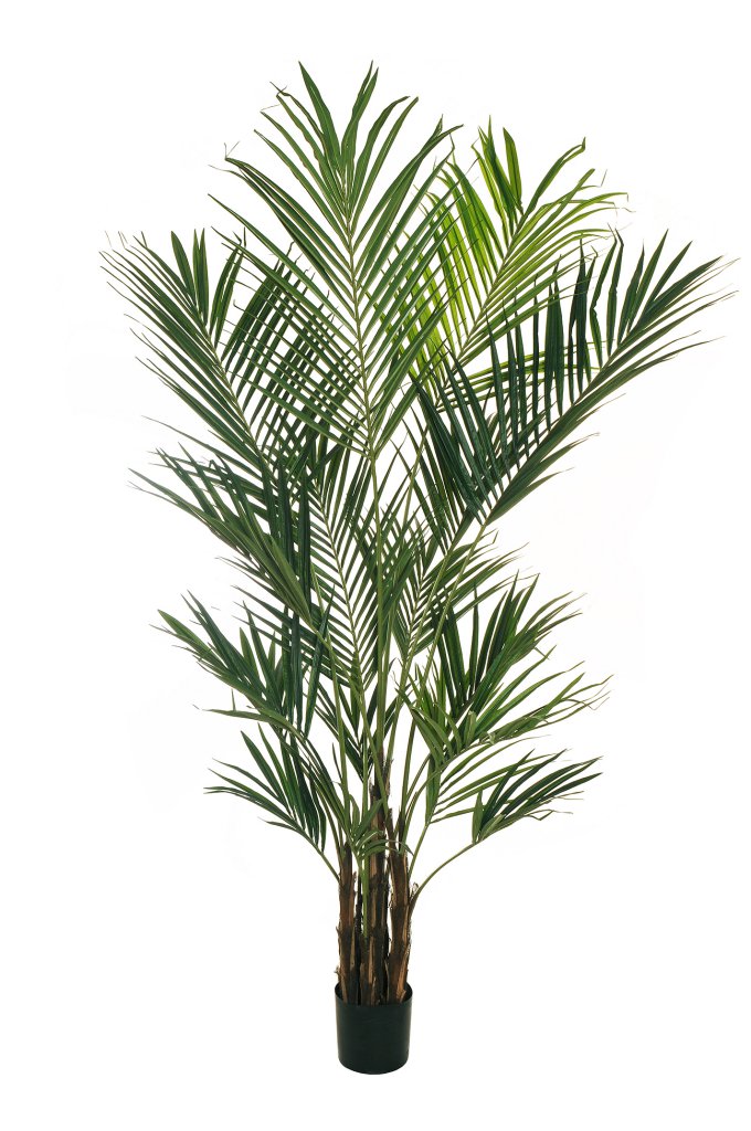 Feuillazur Rungis Kentia palmier artificiel vert 180 cm