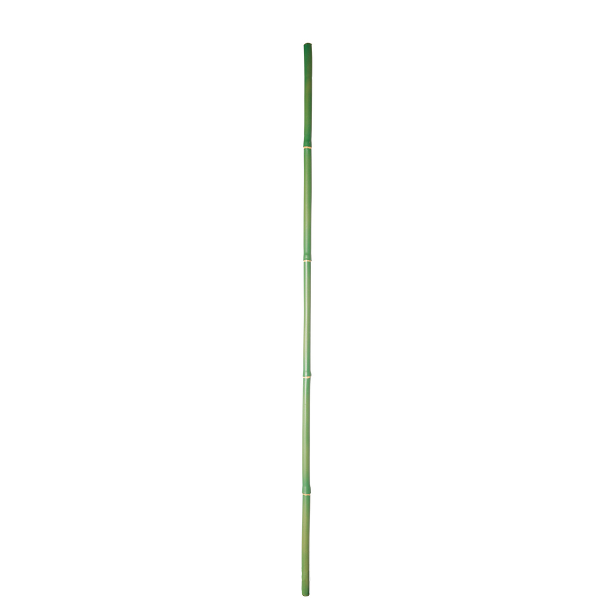 Sia Home Bambou branche artificielle verte 101 cm