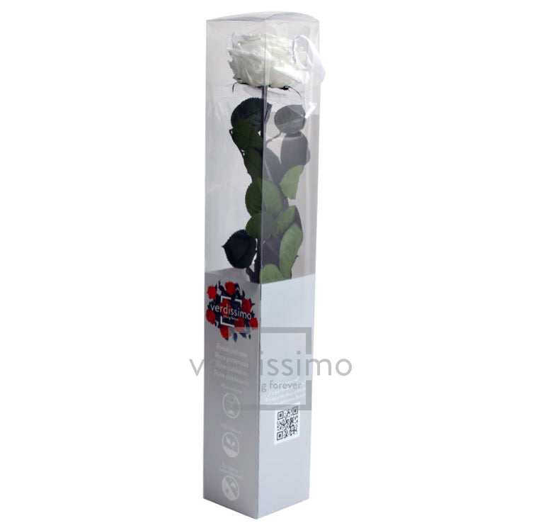 Feuillazur Rungis Rose stabilisée premium tige rouge 54 cm