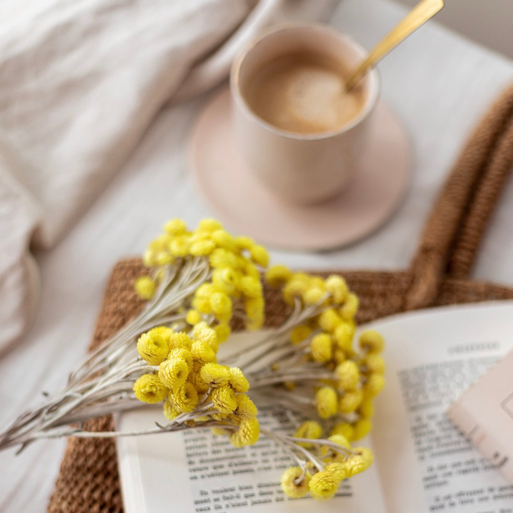 Flowrette Immortelle botte fleurs séchées jaunes x1