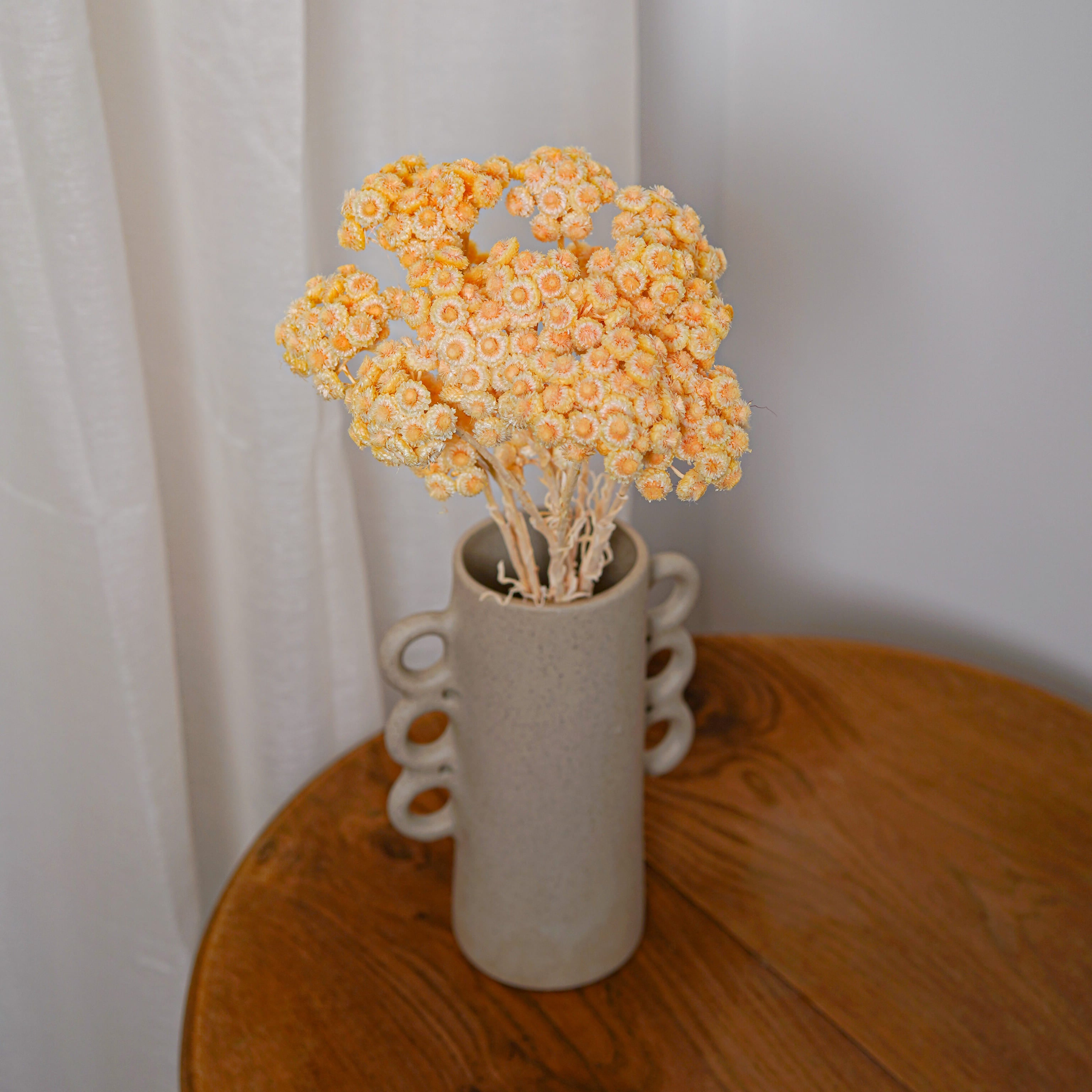 Flowrette Immortelles du Var fleur séchée pêche x1 botte