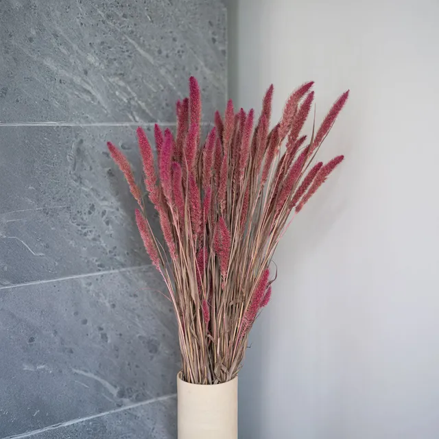Flowrette Sétaire Rose botte fleurs séchées x1 poudré