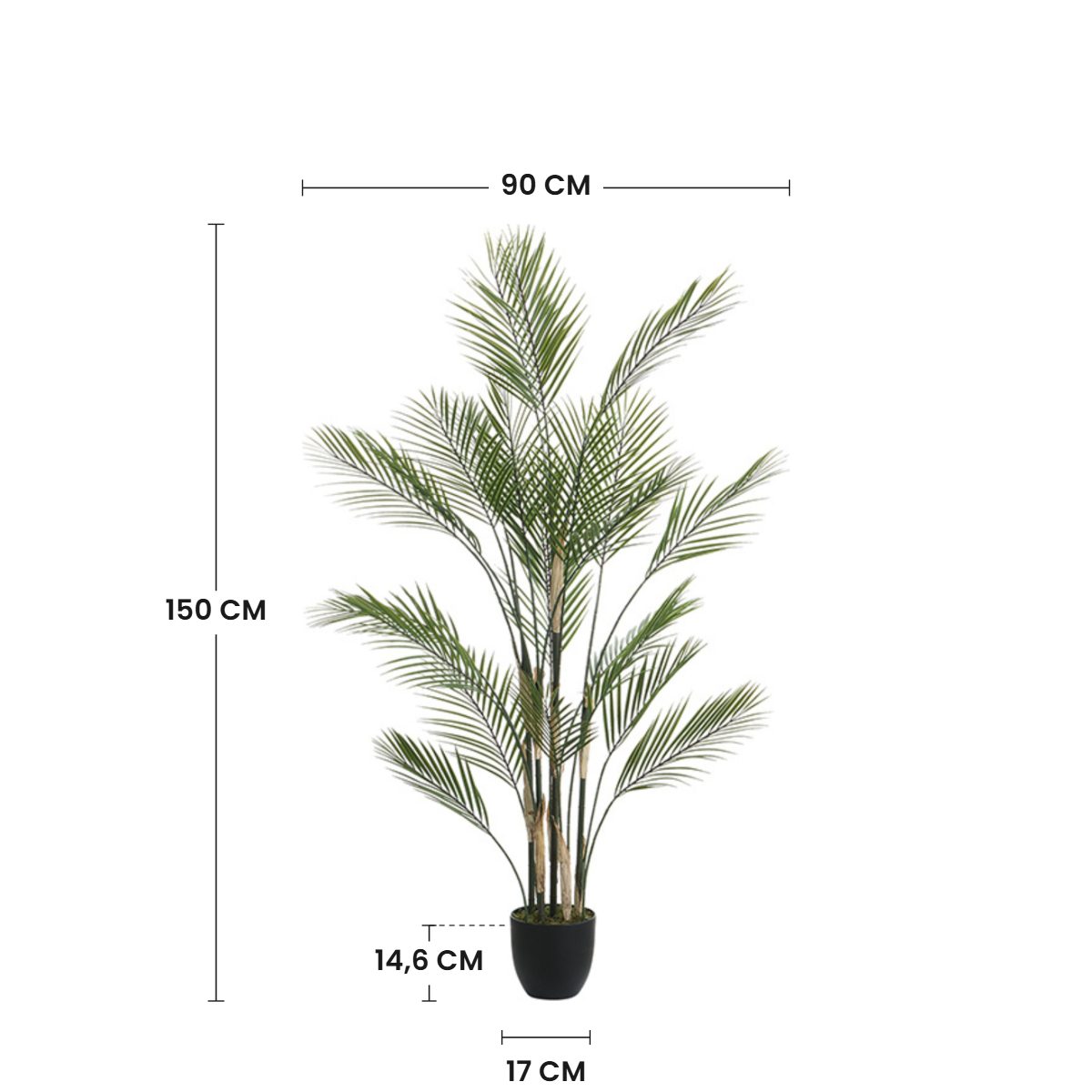Sia Home Arbres Palmier Kwai pot 150 cm vert