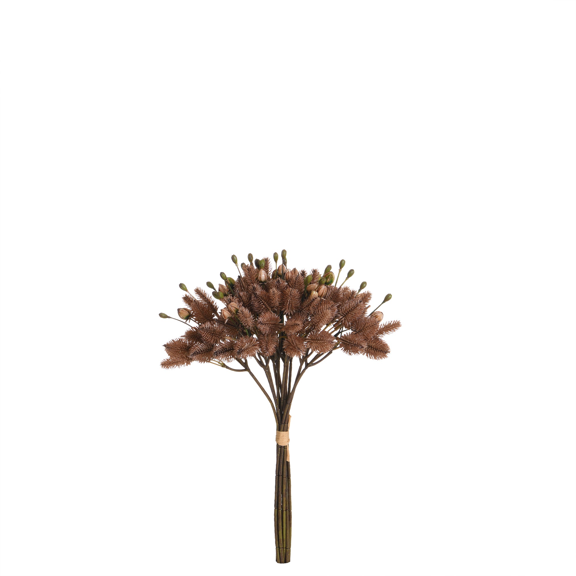 Sia Bouquets Artificiels Chardon bouquet marron 40 cm