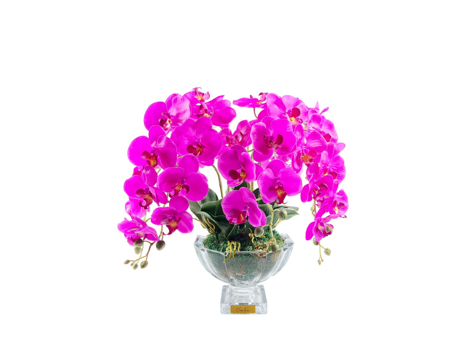 Côte Noire Centrepiece Bouquets CPO09 orchidées fuchsia