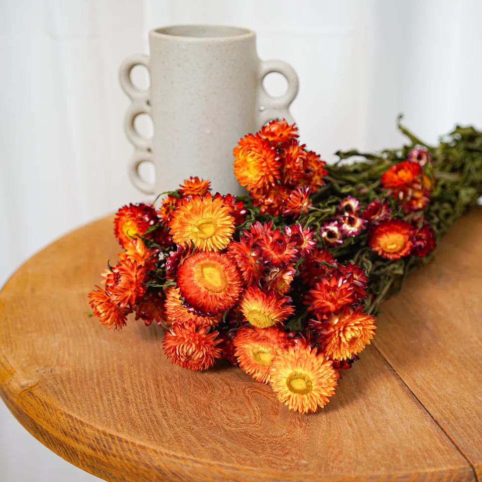 Flowrette Fleurs séchées botte Helichrysum orange x1