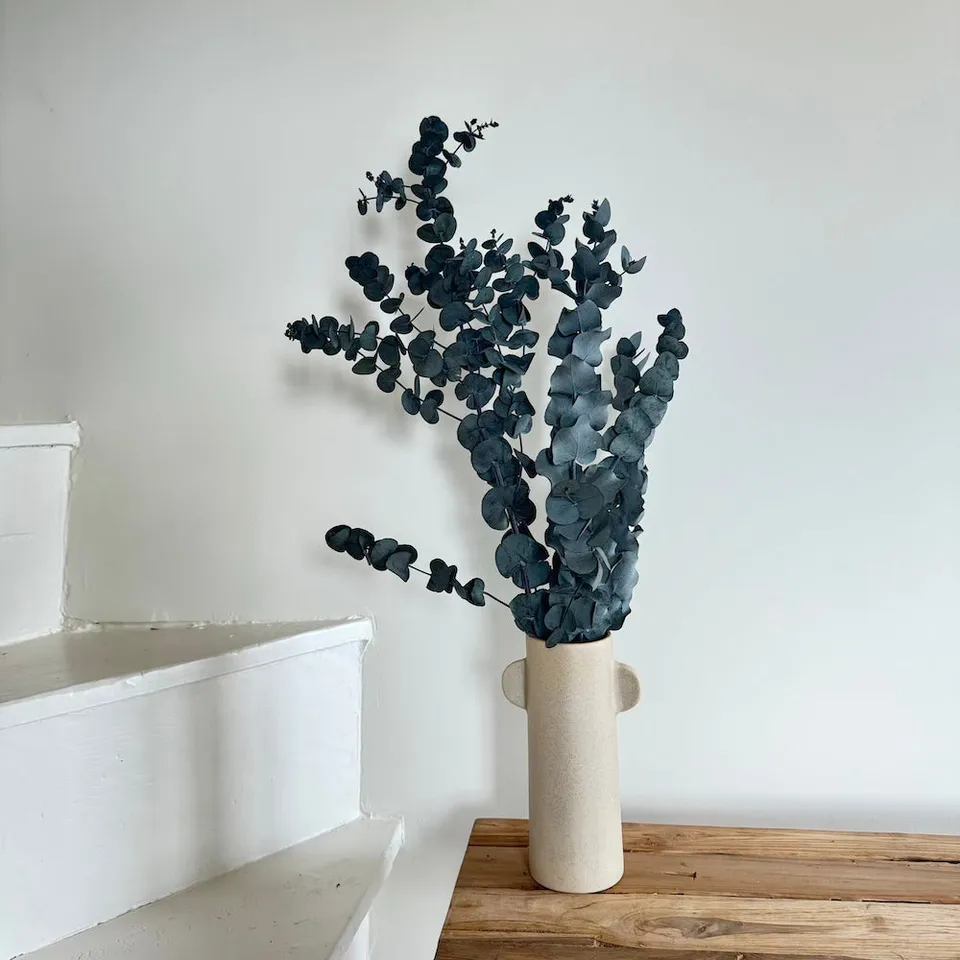 Flowrette Eucalyptus Cinerea botte fleur séchée x1
