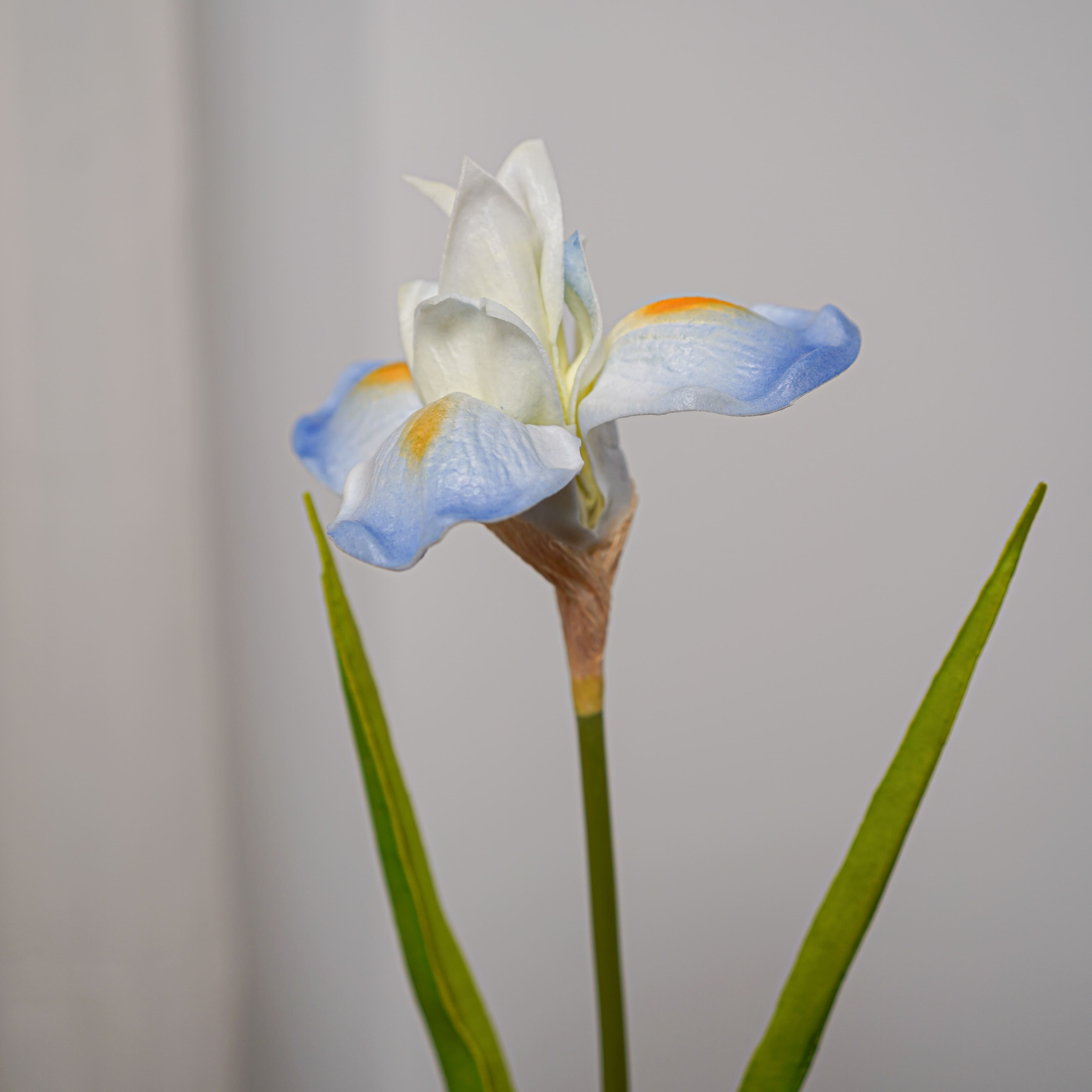 Flowrette Iris artificiel bleu toucher naturel x1