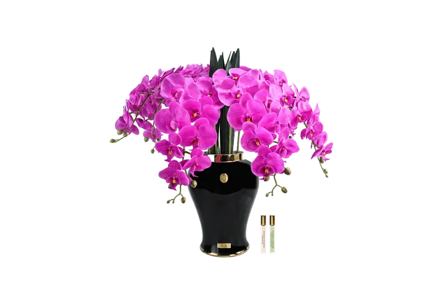 Côte Noire Imperial Orchidée Fuchsia Vase Noir